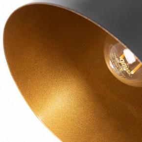 Подвесной светильник Arte Lamp Thomas A7032SP-1BK в Березниках - berezniki.ok-mebel.com | фото 5