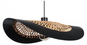 Подвесной светильник Arte Lamp Woodstock A7059SP-1BK в Березниках - berezniki.ok-mebel.com | фото