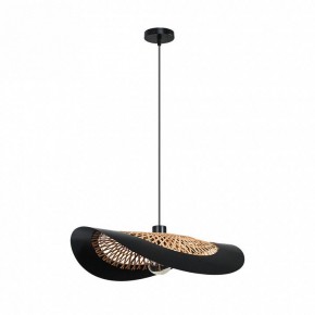 Подвесной светильник Arte Lamp Woodstock A7059SP-1BK в Березниках - berezniki.ok-mebel.com | фото 2