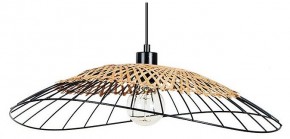 Подвесной светильник Arte Lamp Woodstock A7061SP-1BK в Березниках - berezniki.ok-mebel.com | фото