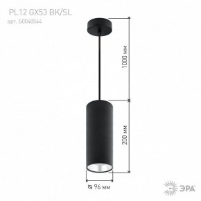Подвесной светильник Эра  PL12 GX53 BK/SL в Березниках - berezniki.ok-mebel.com | фото 8