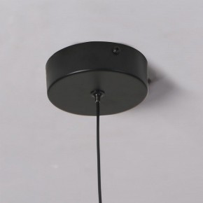 Подвесной светильник Favourite Wilet 4656-1P в Березниках - berezniki.ok-mebel.com | фото 10
