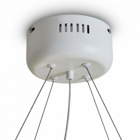 Подвесной светильник Freya Rain FR5546PL-L60W в Березниках - berezniki.ok-mebel.com | фото 9