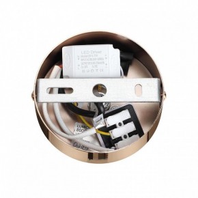 Подвесной светильник Lumion Cristie 8009/6L в Березниках - berezniki.ok-mebel.com | фото 6
