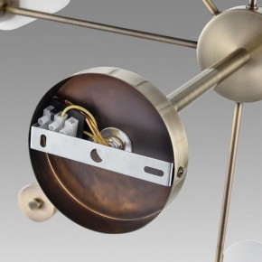 Подвесной светильник Lumion Mave 8100/8C в Березниках - berezniki.ok-mebel.com | фото 6