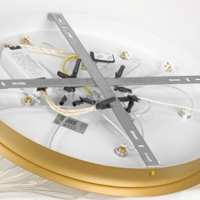 Подвесной светильник Lussole Hopkins LSP-7404 в Березниках - berezniki.ok-mebel.com | фото 4
