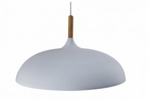 Подвесной светильник Moderli Hygo V11447-1P в Березниках - berezniki.ok-mebel.com | фото