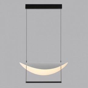 Подвесной светильник Odeon Light Next 7015/20L в Березниках - berezniki.ok-mebel.com | фото 4