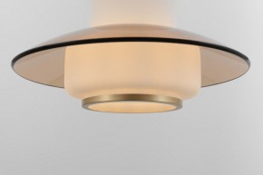 Подвесной светильник Rivoli Camille Б0061901 в Березниках - berezniki.ok-mebel.com | фото 11