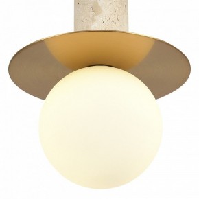 Подвесной светильник ST-Luce Earthy SL1194.303.01 в Березниках - berezniki.ok-mebel.com | фото 5