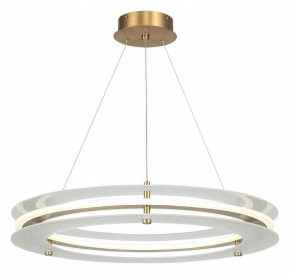 Подвесной светильник ST-Luce FAGY SL6245.203.01 в Березниках - berezniki.ok-mebel.com | фото 2