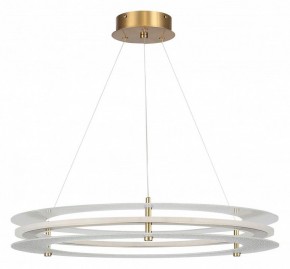 Подвесной светильник ST-Luce FAGY SL6245.203.01 в Березниках - berezniki.ok-mebel.com | фото 3