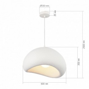 Подвесной светильник ST-Luce WABI SABI SL1522.513.01 в Березниках - berezniki.ok-mebel.com | фото 5