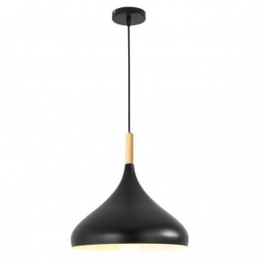 Подвесной светильник TopDecor Molto Molto S2 12 в Березниках - berezniki.ok-mebel.com | фото