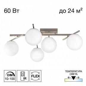Потолочная люстра Citilux Dorsy CL223151 в Березниках - berezniki.ok-mebel.com | фото 2
