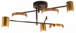 Потолочная люстра Kink Light Рапис 07645-6D,19(20) в Березниках - berezniki.ok-mebel.com | фото
