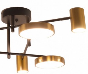 Потолочная люстра Kink Light Рапис 07645-6D,19(20) в Березниках - berezniki.ok-mebel.com | фото 2