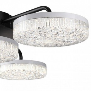 Потолочная люстра Lumion Didana 8236/4CL в Березниках - berezniki.ok-mebel.com | фото 7