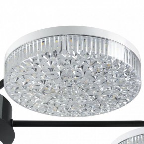 Потолочная люстра Lumion Didana 8236/7CL в Березниках - berezniki.ok-mebel.com | фото 9
