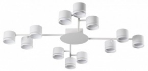 Потолочная люстра Lumion Gareta 8235/12C в Березниках - berezniki.ok-mebel.com | фото