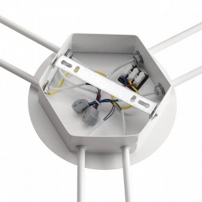 Потолочная люстра Lumion Gareta 8235/6C в Березниках - berezniki.ok-mebel.com | фото 6