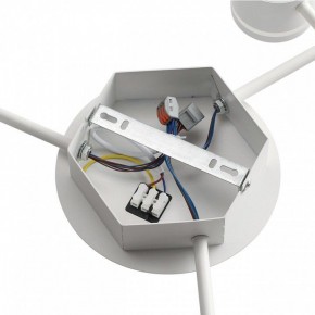 Потолочная люстра Lumion Gareta 8235/9C в Березниках - berezniki.ok-mebel.com | фото 6