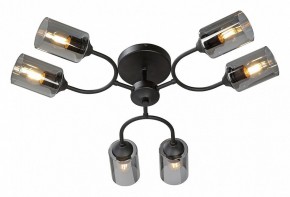 Потолочная люстра Vitaluce V2823 V2823-1/6PL в Березниках - berezniki.ok-mebel.com | фото 2