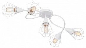 Потолочная люстра Vitaluce V3037 V3037-0/5PL в Березниках - berezniki.ok-mebel.com | фото