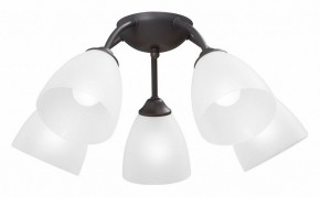Потолочная люстра Vitaluce V3184 V3737-2/5PL в Березниках - berezniki.ok-mebel.com | фото