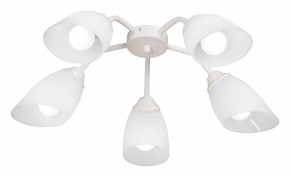 Потолочная люстра Vitaluce V31950 V31950/5PL в Березниках - berezniki.ok-mebel.com | фото