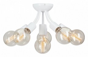 Потолочная люстра Vitaluce V3927 V3927-0/6PL в Березниках - berezniki.ok-mebel.com | фото