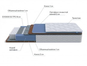 PROxSON Матрас Active Duo M/F (Ткань Трикотаж Эко) 160x195 в Березниках - berezniki.ok-mebel.com | фото 7