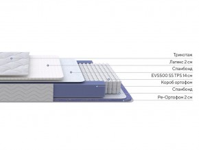 PROxSON Матрас Active Duo S/F (Ткань Трикотаж Эко) 160x200 в Березниках - berezniki.ok-mebel.com | фото 2
