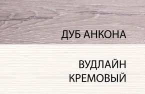 Шкаф 1DW, OLIVIA, цвет вудлайн крем/дуб анкона в Березниках - berezniki.ok-mebel.com | фото 3