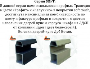 Шкаф-купе 1400 серии SOFT D1+D3+B2+PL1 (2 ящика+1штанга) профиль «Графит» в Березниках - berezniki.ok-mebel.com | фото 5