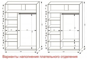 Шкаф-купе 1600 серии SOFT D6+D4+B2+PL2 (2 ящика+1штанга+1 полка) профиль «Капучино» в Березниках - berezniki.ok-mebel.com | фото 8