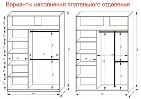 Шкаф-купе 1600 серии SOFT D6+D4+B2+PL2 (2 ящика+1штанга+1 полка) профиль «Капучино» в Березниках - berezniki.ok-mebel.com | фото 9