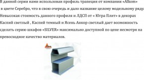 Шкаф-купе 2250 серии SILVER S3+S1+S3Z B22+PL2 (по 2 ящика лев/прав+1штанга+1 полка) профиль «Серебро» в Березниках - berezniki.ok-mebel.com | фото 4