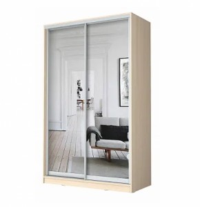 Шкаф-купе ХИТ 22-4-12/2-55 (420) в Березниках - berezniki.ok-mebel.com | фото 7