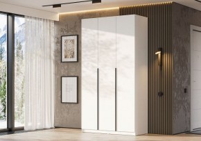 Шкаф платяной Даиго в Березниках - berezniki.ok-mebel.com | фото 3