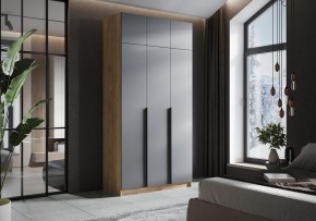 Шкаф платяной Широн в Березниках - berezniki.ok-mebel.com | фото 4