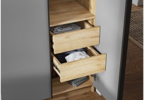 Шкаф платяной Широн в Березниках - berezniki.ok-mebel.com | фото 3
