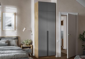 Шкаф платяной Широн в Березниках - berezniki.ok-mebel.com | фото 4