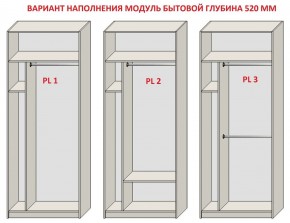 Шкаф распашной серия «ЗЕВС» (PL3/С1/PL2) Серый камень/Небраска натуральный в Березниках - berezniki.ok-mebel.com | фото 5