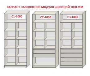 Шкаф распашной серия «ЗЕВС» (PL3/С1/PL2) Серый камень/Небраска натуральный в Березниках - berezniki.ok-mebel.com | фото 7