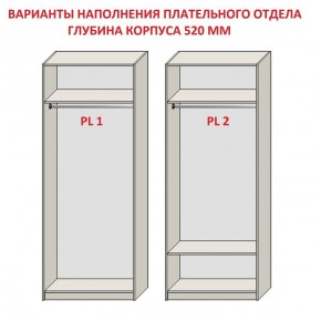 Шкаф распашной серия «ЗЕВС» (PL3/С1/PL2) Серый камень/Небраска натуральный в Березниках - berezniki.ok-mebel.com | фото 9