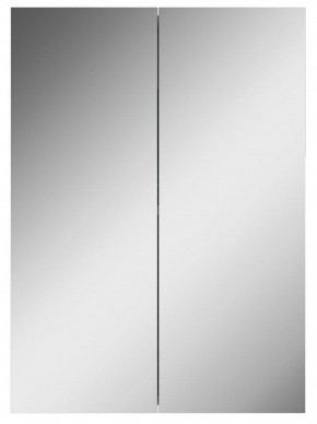 Шкаф-зеркало Норма 50 2 двери АЙСБЕРГ (DA1636HZ) в Березниках - berezniki.ok-mebel.com | фото 4