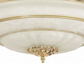 Светильник на штанге Arti Lampadari Pavia Pavia E 1.13.P40 G в Березниках - berezniki.ok-mebel.com | фото 3