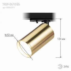 Светильник на штанге Эра  TR39-GU10 BS в Березниках - berezniki.ok-mebel.com | фото 6