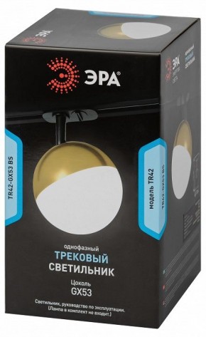Светильник на штанге Эра  TR42-GX53 BS в Березниках - berezniki.ok-mebel.com | фото 6